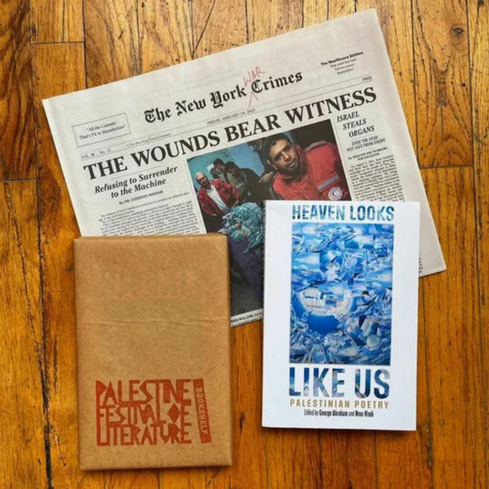 Bookshelf bundle 03: Jun/Jul 2025 - Heaven Looks Like Us + the NY War Crimes healthcare issue